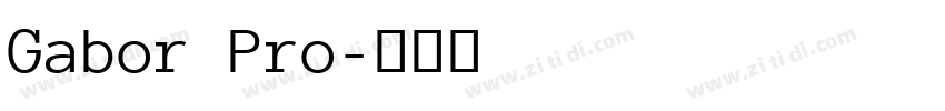 Gabor Pro字体转换